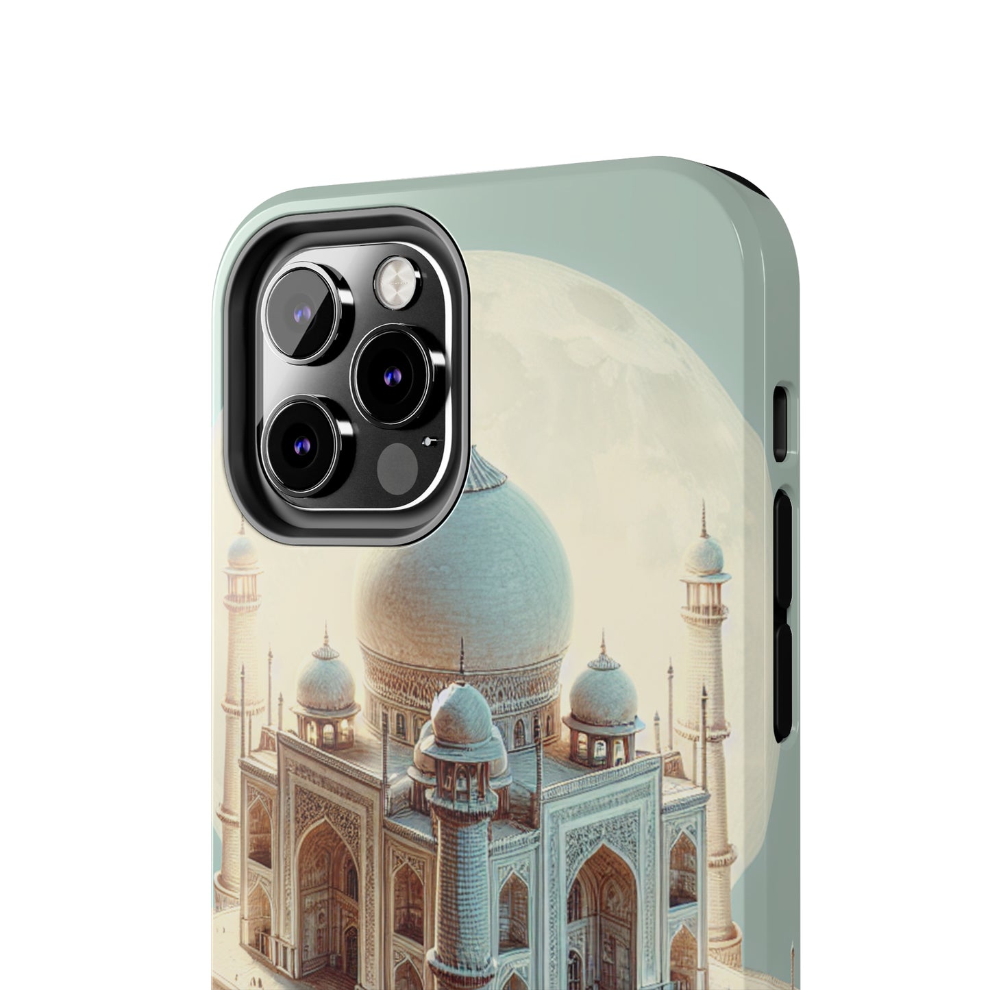 Patricia Raines - Phone Case